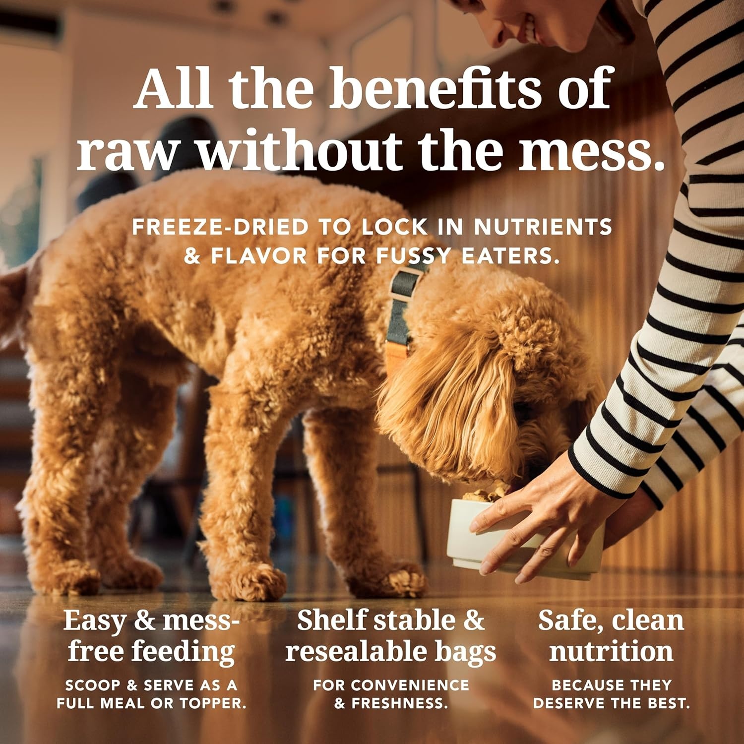 K9 Natural Lamb & King Salmon Wet Dog Food Pate, Grain-Free Premium Canned Dog Food, with Grass-Fed New Zealand Lamb, Salmon, Organs, & Ground Bone, Complete Meal for All Life Stages, 6oz, Pack of 12(Chicken) - view 4
