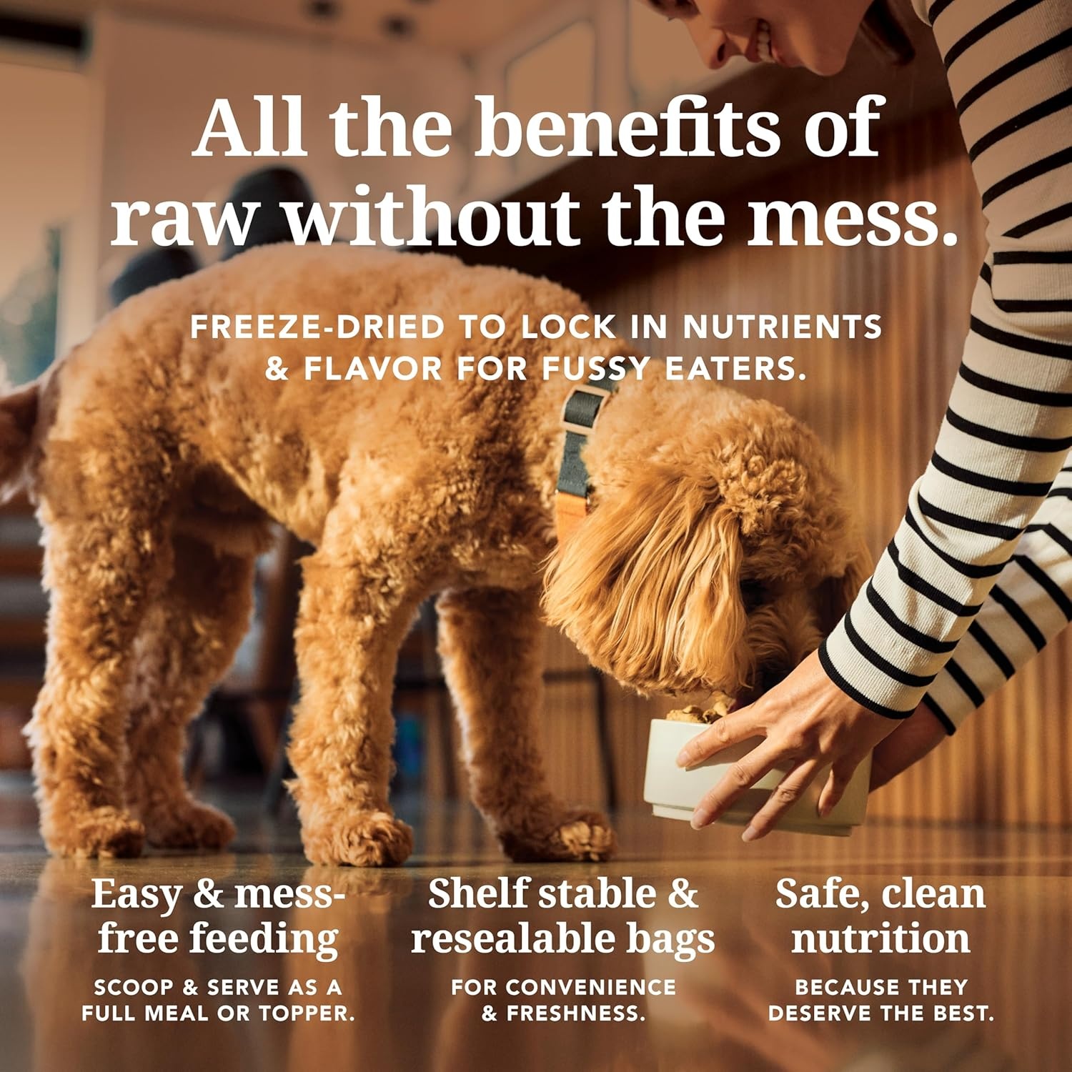 K9 Natural Lamb & King Salmon Wet Dog Food Pate, Grain-Free Premium Canned Dog Food, with Grass-Fed New Zealand Lamb, Salmon, Organs, & Ground Bone, Complete Meal for All Life Stages, 6oz, Pack of 12(Lamb) - view 4
