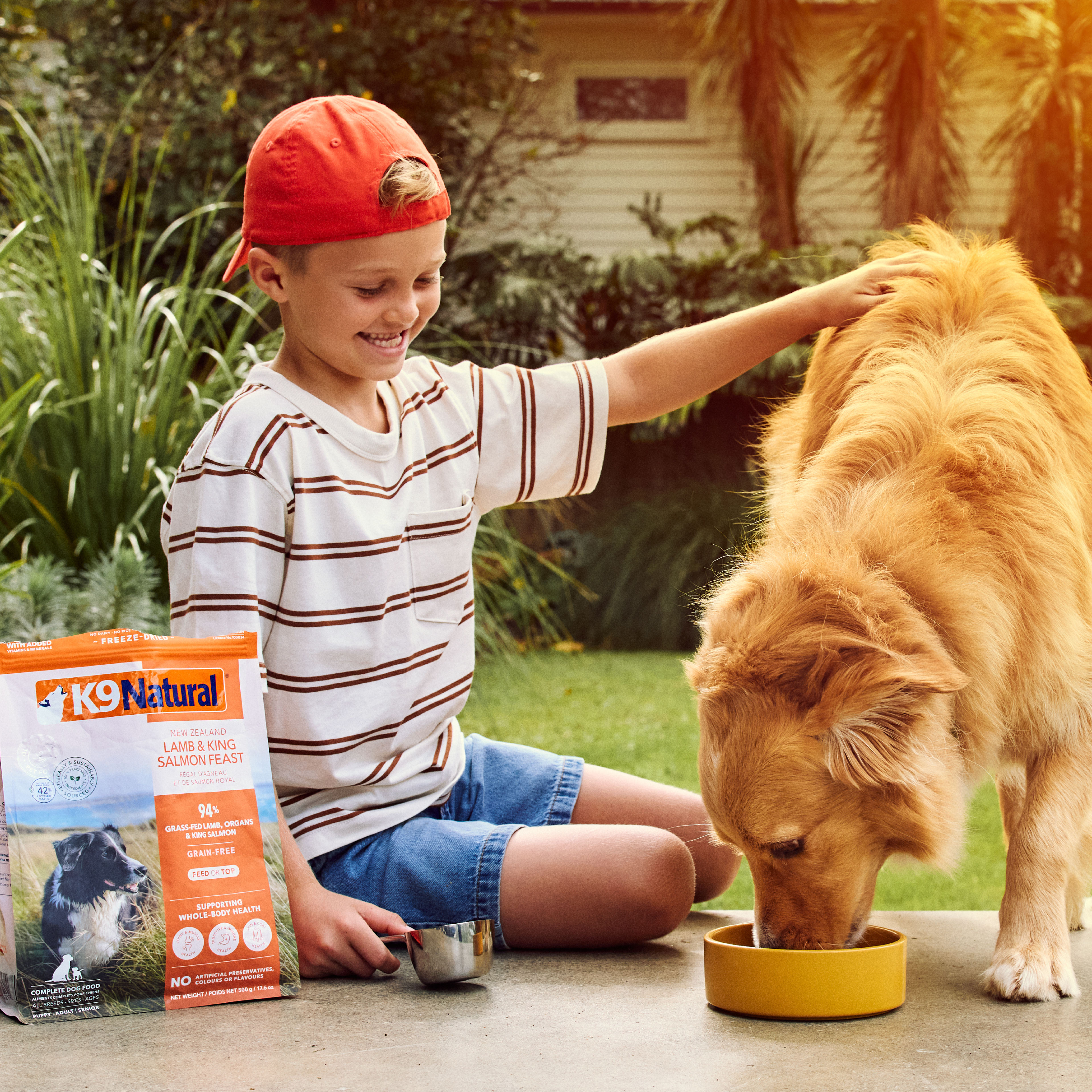 Pet Food Collection