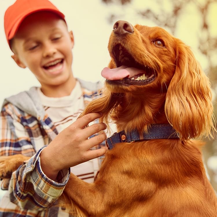 Pet Health